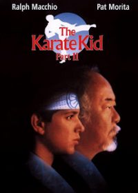 The Karate Kid Part II (1986) 420p 300MB Dual Audio 1