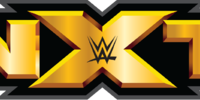 WWE NXT 28th August (2014) HD 720P 200MB Free Download 2