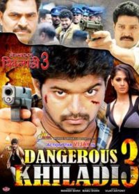 Dangerous Khiladi 3 (2009) Hindi Dubbed Movie Free Download 480p 1