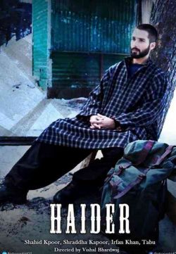 Haider (2014) Hindi Movie 720p 200MB free Download