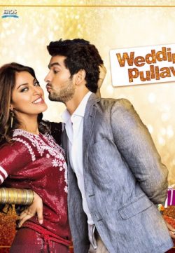 Wedding Pullav (2015) Hindi Full Movie Watch Online HD 480p