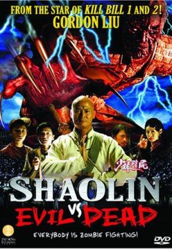 Shaolin Vs Evil Dead 2004 Hindi Dubbed DVDRip 300MB