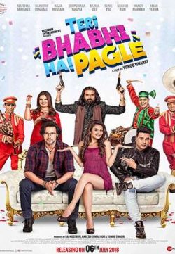 Teri Bhabhi Hai Pagle 2018 Hindi Pre-DVDRip 750MB